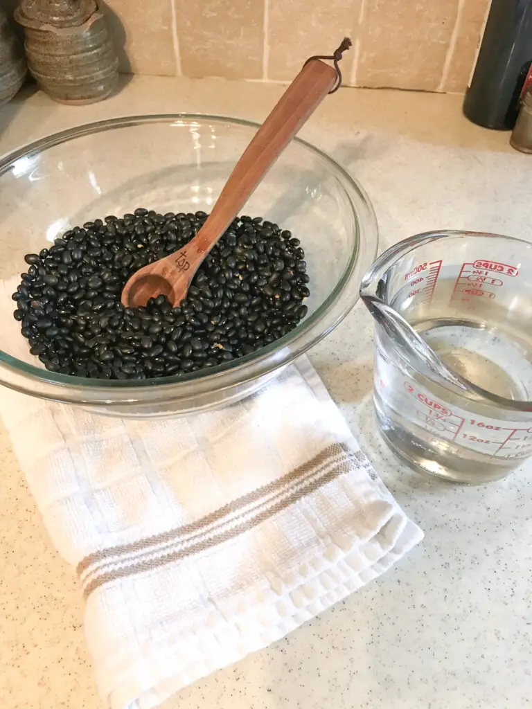 How to Dye Yarn with Black Beans