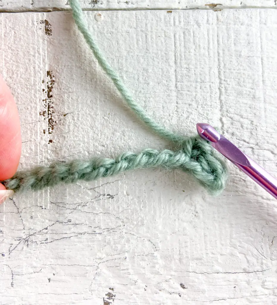 Crochet into the back bump of the chain.
