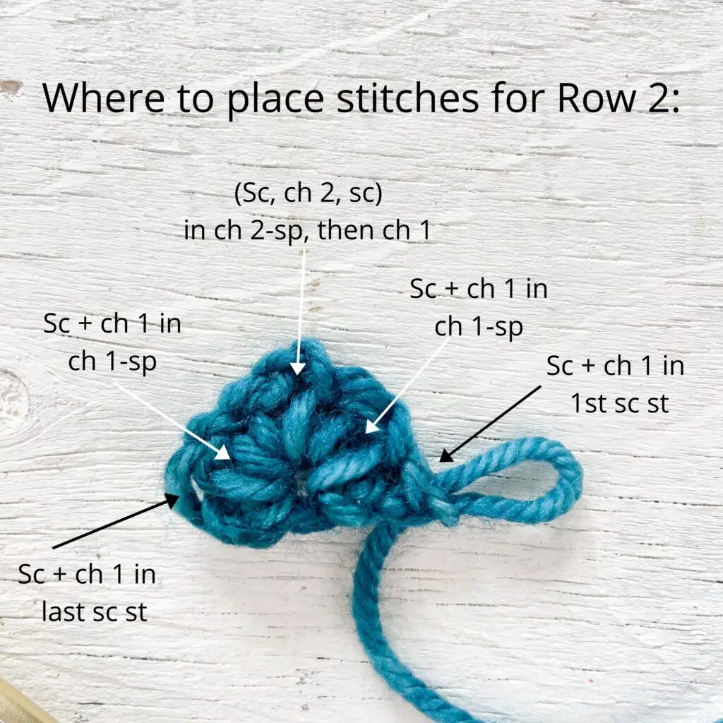 Where to place stitches for Row 2