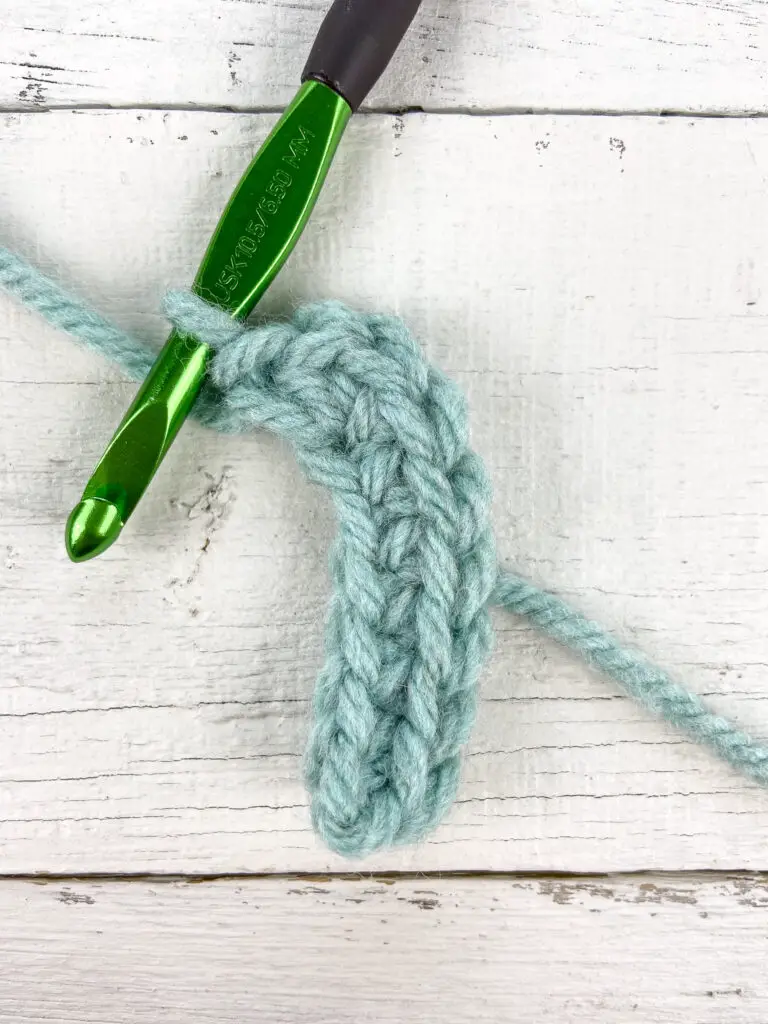 4 single crochet in the last chain