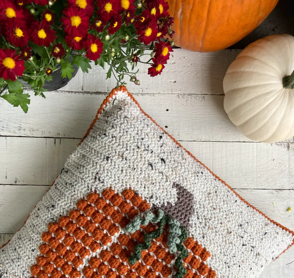 Crochet Pumpkin Pillow free pattern 