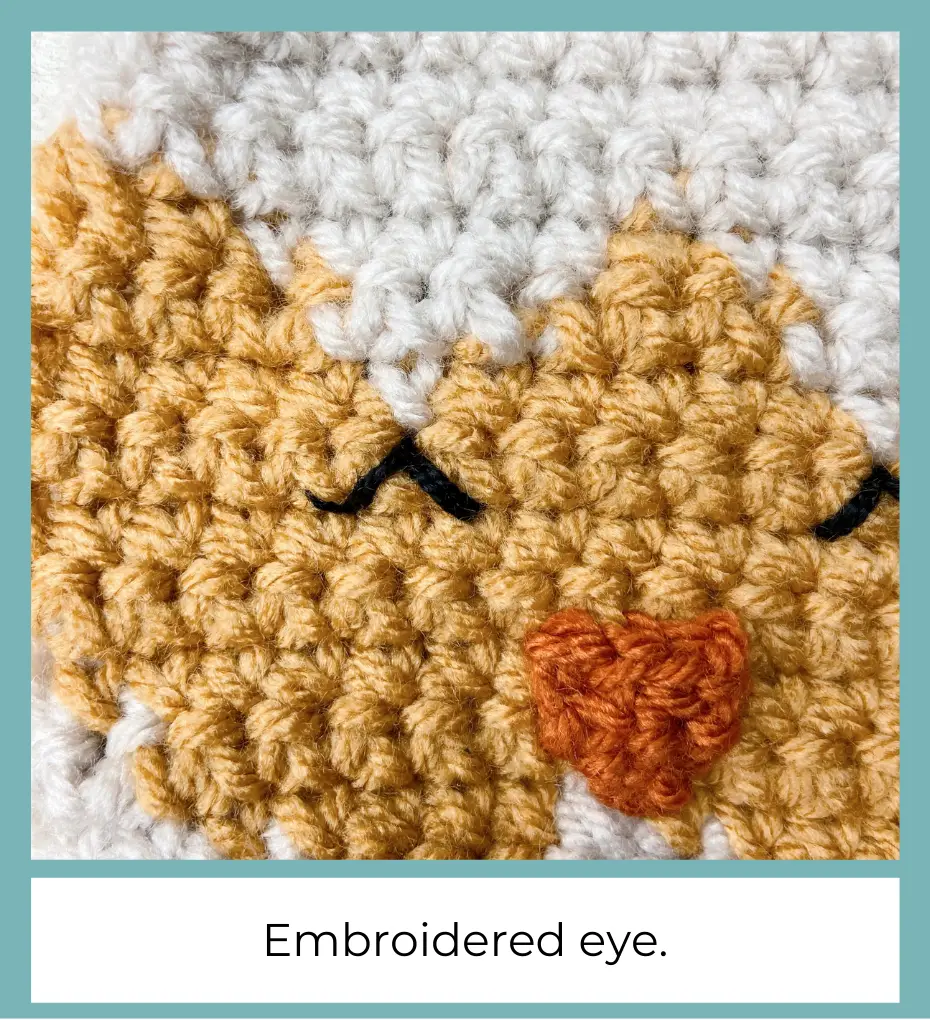 embroidered eyes on crochet