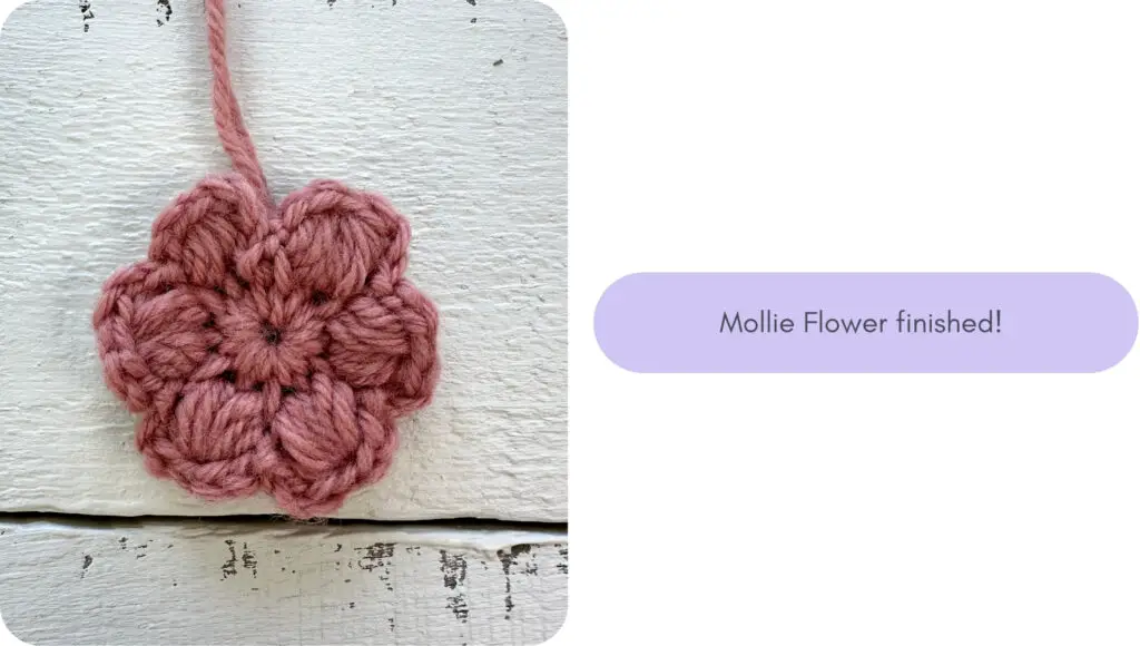 finished mollie flower